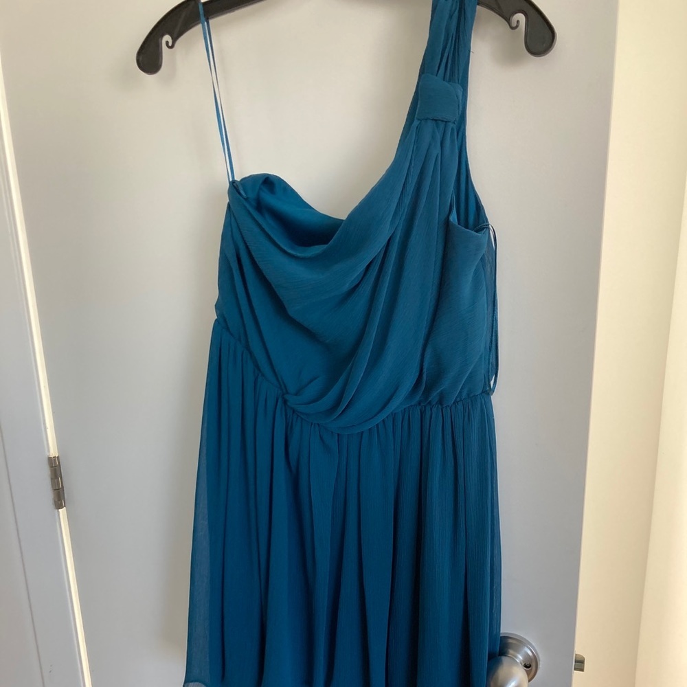 NWT Max and Cleo dress